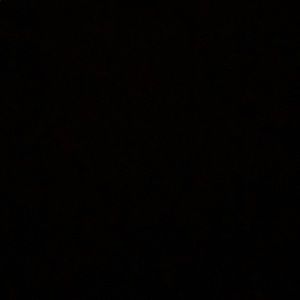 Meet your Posher, Titus